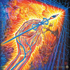 Maybe you would like to learn more about one of these? Artist S Hand Alex Grey Paintings Alex Gray Art Grey Art