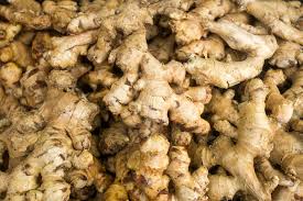 Image result for Zingiber officinale