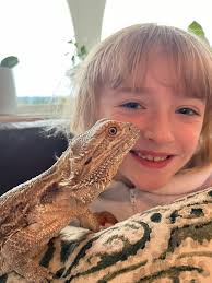 5yr old bearded dragon needs rehome ASAP. Comes with 45 gallon tank and  dishes for food/water/heating lamp.