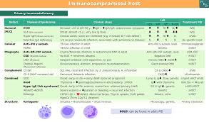 Image result for Humoral Immunodeficiency