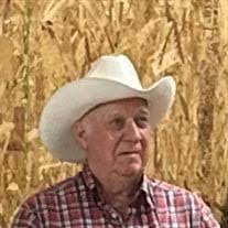 Penny Climer's Instagram, Twitter & Facebook