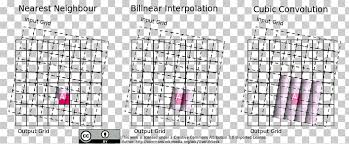 amsler grid macular degeneration eye examination macula of