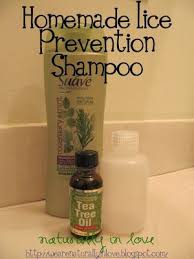 Naturally In Love Lice Is Gross Lice Prevention Shampoo Lice Prevention Tea Tree Oil Benefits