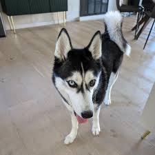 Steven Manners💥 (@stevenmanners) • Instagram photos and videos