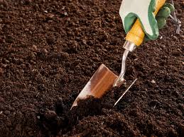 Soil structure refers directly to the arrangement of soil particles. Can You Mix Potting Soil With Garden Soil Hgtv