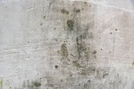 Plants may have an outside firm design and administer their preventative control plan. Baxter To Pay 18 2 Million In Settlement Over Mold At Manufacturing Facility Funguy Mold Inspections