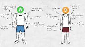 The coin kept dropping as months went by, and it eventually reached the but, similarly to how bch came to be when the community could not agree on what to do with bitcoin, bch supporters also could not. Bitcoin Vs Bitcoin Cash Why Not Both By Frederik Bussler Medium