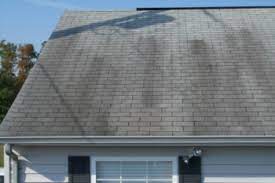 When we stop i use blue liquid wash wax all cleaner. Stains On Asphalt Roofing Shingles Housemaster