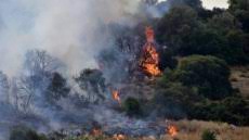 Καλύτερη εικόνα παρουσιάζει αυτή την ώρα η πυρκαγιά στον υμηττό και δεν υπάρχει ανησυχία για το δάσος της καισαριανής. Fwtia Twra