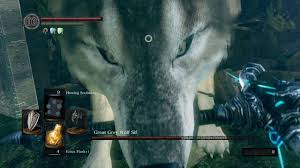 Here's a jp player solo'ing andrius with only the traveler and taking no damage (dark souls style lol): Dark Souls Remastered Great Grey Wolf Sif Boss Guide Youtube