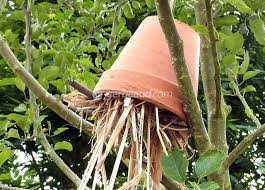 Hotel A Insectes Quels Interets Hotel A Insectes Insectes Abris Pour Animaux