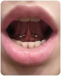 Piercing Pesquisa Googlepiercing Pesquisa Google Piercings For Girls Mouth Piercings Earings Piercings