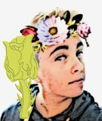 FlowerPrince