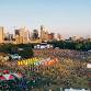 Austin Urban Music Festival - Auditorium Shores at Town Lake Metropolitan Park, 900 W Riverside Dr Event Image