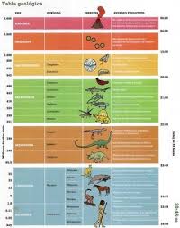 Cuadros Sinopticos Sobre Eras Geologicas Y Sus Divisiones Cuadro Origen De La Tierra Ciencias De La Tierra Ensenanza De La Geografia