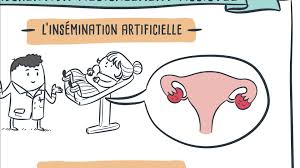 L'ouverture de la pma à toutes les femmes. Dessine Moi La Societe Pma Gpa Que Dit La Loi Video Dailymotion
