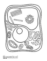 Maybe you would like to learn more about one of these? Pin On Class