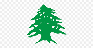 Indoor lebanon flags with a pole sleeve and gold fringe are also available, along with vinyl decals. Lebanese Flag Cedar Tree Free Transparent Png Clipart Images Download