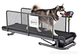 Fit Fur Life Dog Treadmill Goruntuler Ile