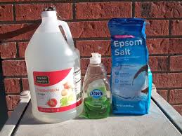 Is spraying weed killer on the lawn harmful to children or pets who play on it? Mom Knows Best Easy To Make All Natural Homemade Weed Killer Spray That Works In A Day