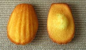 Risultato immagini per petite madeleine
