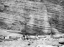 Image result for what is the single most common and characteristic feature of sedimentary rocks quizlet