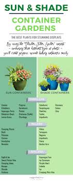 pin on gardening fool proof tips for my black thumb