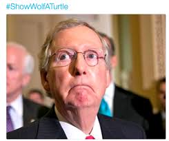 At memesmonkey.com find thousands of memes categorized into thousands of categories. Mitch Mcconnell Showwolfaturtle Know Your Meme
