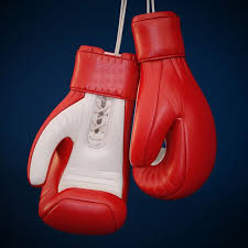 Boxing Glove Boxing Gloves Sports Equipment Sport Boxing