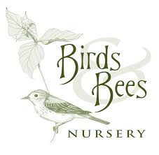 Birds And Bees Nursery Website Birds Bees Nursery Portland Or 97202