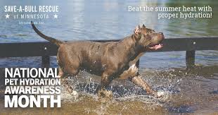 Jun 01, 2021 · learn more about minnesota pit bull rescue in saint paul, mn, and search the available pets they have up for adoption on petfinder. Save A Bull Rescue Of Minnesota Saveabullmn Twitter