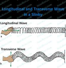 It has a compression (increased intensity) of the medium particles a transverse wave is wave that travels perpendicular or at right angles to the direction it was started. Longitudinal And Transverse Waves Explanation Difference Teachoo