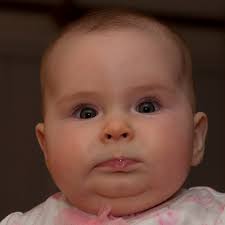 Week 51-Gratitude-Abby-Bob Guido