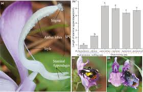 نتیجه جستجوی لغت [appendages] در گوگل
