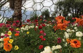 The eden project has become world famous for its stunning structure and the wonder of its contents. All Das Was Sie Schon Immer Uber Das Eden Project Wissen Wollten Urlaub Reisen