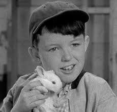 Mayfield Memories: Leave It To Beaver Reviewed