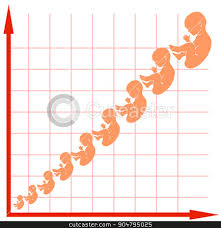 human fetus growth chart stock vector