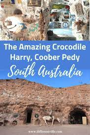The Amazing Crocodile Harry S Underground Nest In Coober Pedy Australia Travel Culture Travel Outback Australia