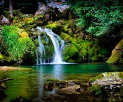 Access wallpaper hd 1920x1080 kostenlos images for free at wallpaper.codes. Mehr Als 100 Hd Wallpaper Hintergrundbilder Zum Kostenlosen Download