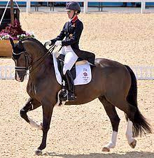 @amelianewcombdressage free dressage rider assessment quiz: Dressage Wikipedia