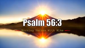 Send scripture ecards and online greeting cards quickly and easily to friends and buy camo chique realtree pink women's luxury throw faux suede blanket, 56x70: Psalm 56 3 Morning Verses With Mike Mvwm By Mike Phillips Publishous Medium