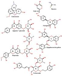 Image result for Melasma calycinum