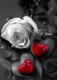 Pin On Love