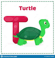 If you want to live and work in the united states but are not a u.s. Alphabet Bedruckbarer Flashcards Vektor Mit Schreiben T Stock Abbildung Illustration Von Tier Umgebung 172483756