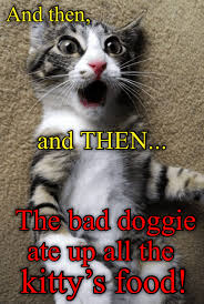 Top 30 Memes Of The Week Cheezburger Users Edition 75 Funny Animal Jokes Animal Jokes Cute Cat Memes