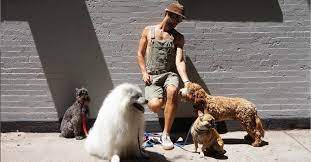 Lady gaga's dog walker, who was shot during a robbery involving her two dogs on feb. Lady Gaga S Dog Walker Recalls Being Shot And Cradling Guardian Angel Dog The New York Times