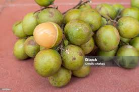 Image result for Melicoccus