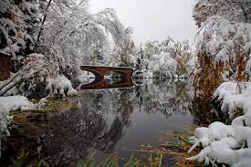 'multiple' people are reportedly down. Varsity Pond A Relaxing Rest Stop And A Thriving Bio Community
