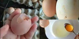 Informasi update harga telur ayam ras terkini kami hadirkan semaksimal mungkin setiap hari sebagai komitmen dan dedikasi ardhi borneo gemilang portal info ternak terdepan di indonesia kepada dunia. Telur Palsu Meresahkan Masyarakat Ini Tanggapan Para Pakar