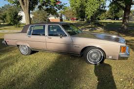 Image result for Sable Brown 1984 Dodge